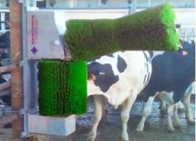автоматическая чесалка для коров